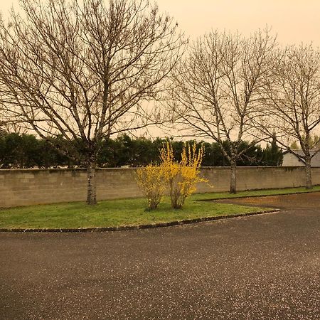 Suite En Chambre D'Hotes La Vigenna Les Ormes  Esterno foto